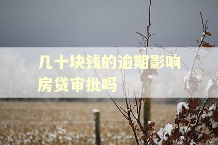 几十块钱的逾期影响房贷审批吗