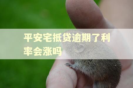 平安宅抵贷逾期了利率会涨吗