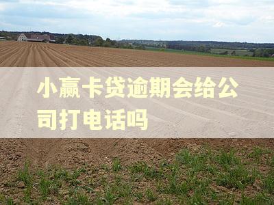 小赢卡贷逾期会给公司打电话吗