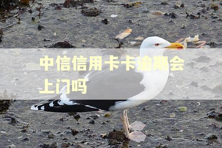 中信信用卡卡逾期会上门吗