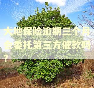 大地保险逾期三个月会委托第三方催款吗?