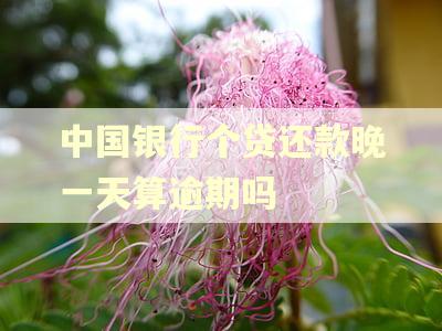 中国银行个贷还款晚一天算逾期吗