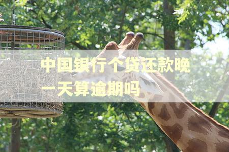 中国银行个贷还款晚一天算逾期吗
