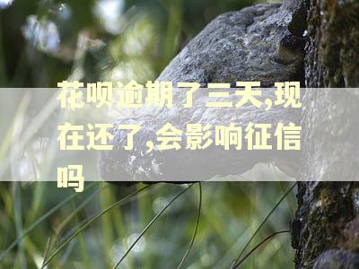 花呗逾期了三天,现在还了,会影响征信吗