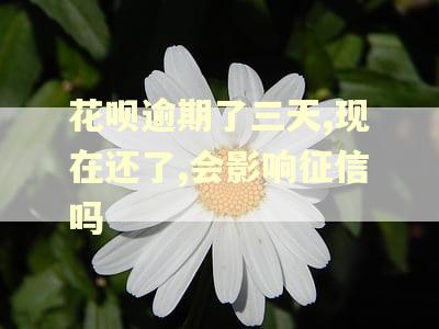花呗逾期了三天,现在还了,会影响征信吗 花呗逾期了三天,现在还了,会影响征信吗