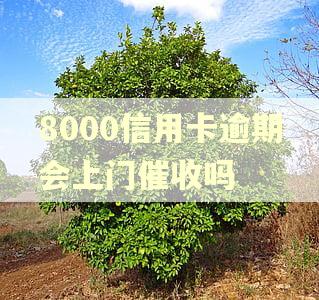 8000信用卡逾期会上门催收吗