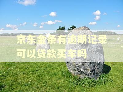 京东金条有逾期记录可以贷款买车吗