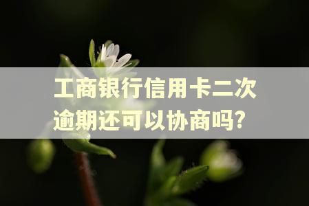 工商银行信用卡二次逾期还可以协商吗? 工商银行信用卡二次逾期还可以协商吗?
