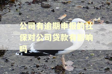 公司有逾期申报的社保对公司贷款有影响吗