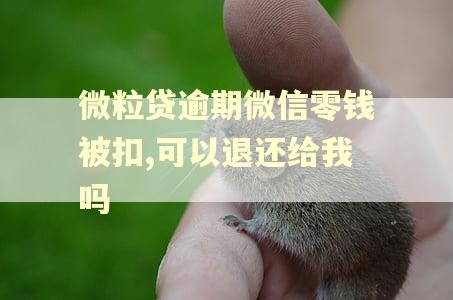 微粒贷逾期微信零钱被扣,可以退还给我吗
