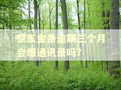 京东金条逾期三个月会爆通讯录吗?