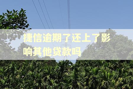 捷信逾期了还上了影响其他贷款吗