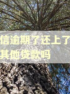 捷信逾期了还上了影响其他贷款吗