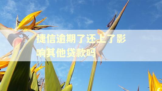 捷信逾期了还上了影响其他贷款吗 捷信逾期了还上了影响其他贷款吗