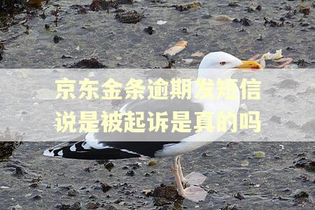 京东金条逾期发短信说是被起诉是真的吗 京东金条逾期发短信说是被起诉是真的吗