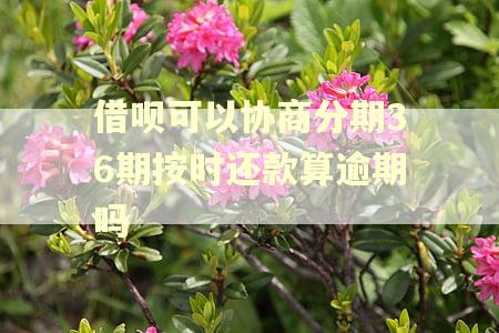 借呗可以协商分期36期按时还款算逾期吗