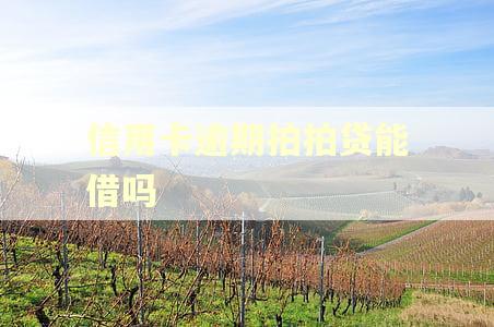 信用卡逾期拍拍贷能借吗