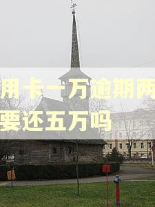 信用卡一万逾期两年需要还五万吗