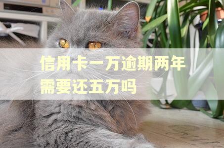 信用卡一万逾期两年需要还五万吗