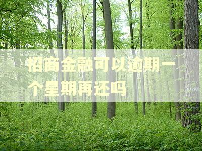 招商金融可以逾期一个星期再还吗