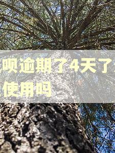 花呗逾期了4天了还能使用吗