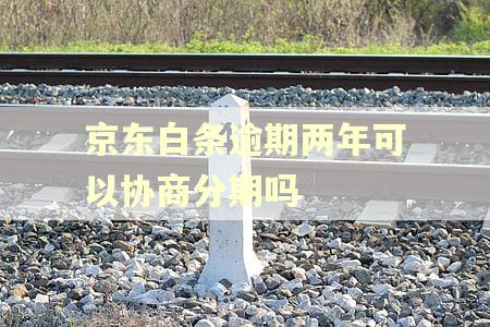 京东白条逾期两年可以协商分期吗
