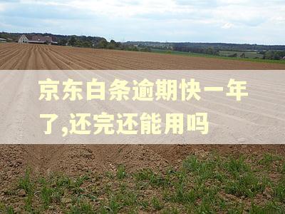 京东白条逾期快一年了,还完还能用吗