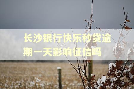 长沙银行快乐秒贷逾期一天影响征信吗