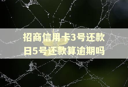 招商信用卡3号还款日5号还款算逾期吗