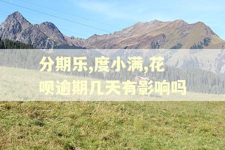 分期乐,度小满,花呗逾期几天有影响吗