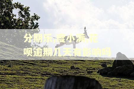 分期乐,度小满,花呗逾期几天有影响吗