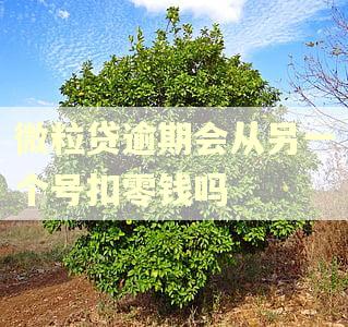 微粒贷逾期会从另一个号扣零钱吗