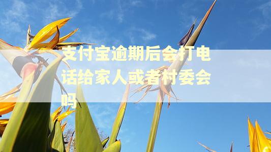 支付宝逾期后会打电话给家人或者村委会吗