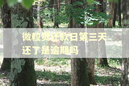 微粒贷还款日第三天还了是逾期吗