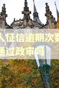 个人征信逾期次数多能通过政审吗