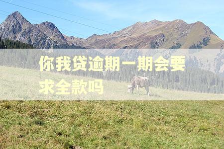 你我贷逾期一期会要求全款吗