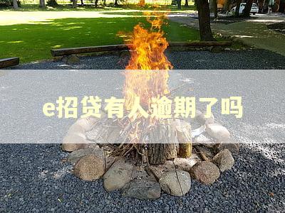 e招贷有人逾期了吗
