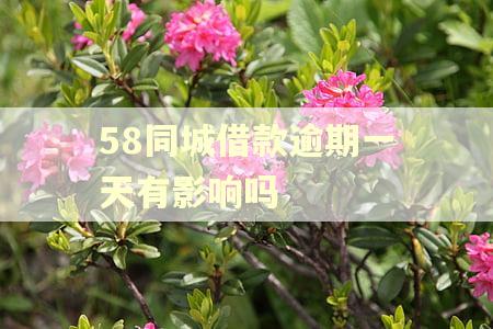 58同城借款逾期一天有影响吗