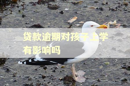 贷款逾期对孩子上学有影响吗