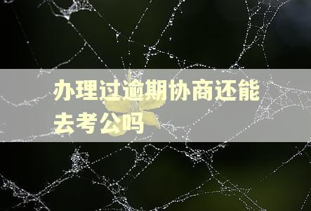 办理过逾期协商还能去考公吗 办理过逾期协商还能去考公吗
