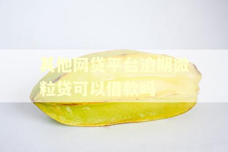 其他网贷平台逾期微粒贷可以借款吗