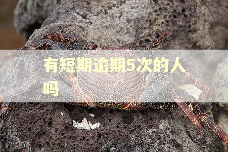 有短期逾期5次的人吗