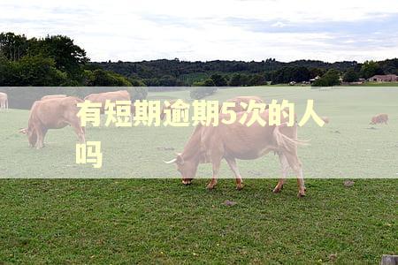 有短期逾期5次的人吗 有短期逾期5次的人吗
