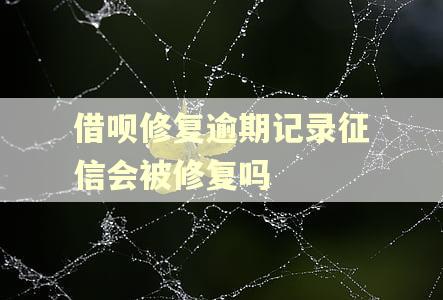 借呗修复逾期记录征信会被修复吗
