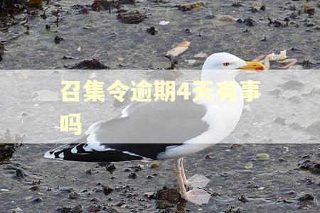 召集令逾期4天有事吗