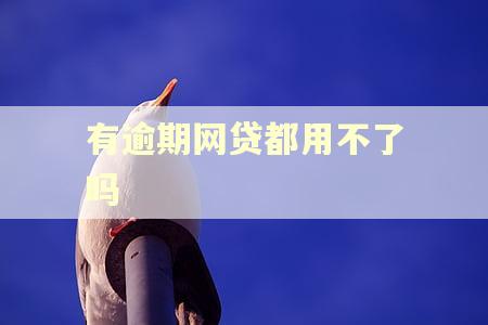 有逾期网贷都用不了吗