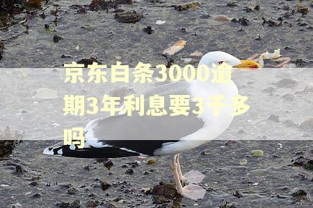 京东白条3000逾期3年利息要3千多吗