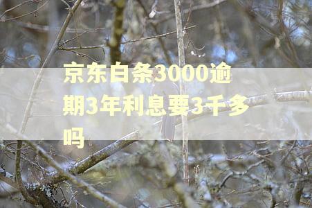 京东白条3000逾期3年利息要3千多吗