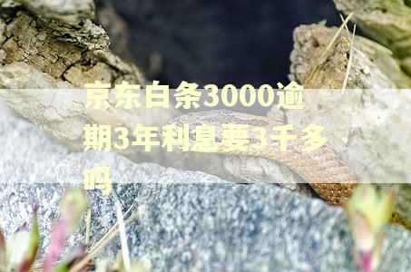 京东白条3000逾期3年利息要3千多吗 京东白条3000逾期3年利息要3千多吗