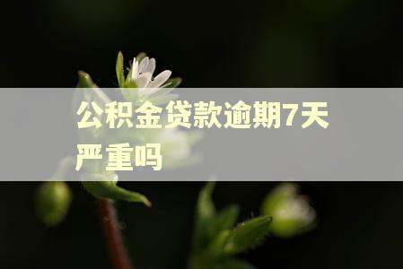 公积金贷款逾期7天严重吗